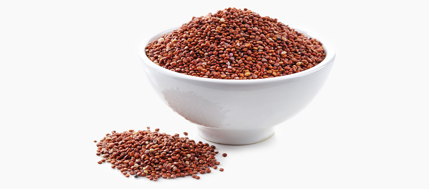 quinoa uvod